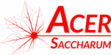 Acer Saccharum